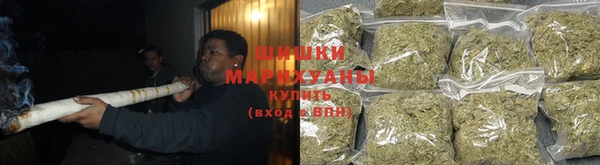 хмурый Магас