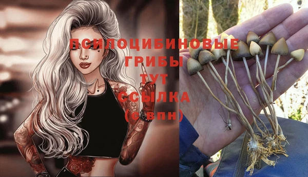 прущие крисы Липки