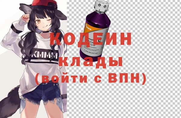 хмурый Магас