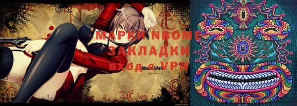 хмурый Магас