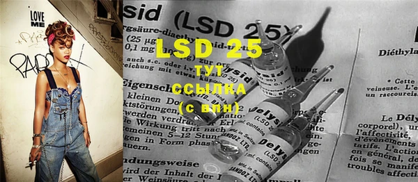 PSILOCYBIN Лихославль