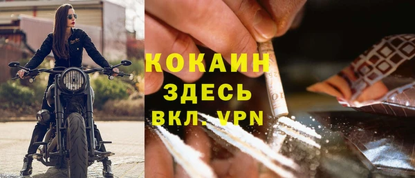 PSILOCYBIN Лихославль