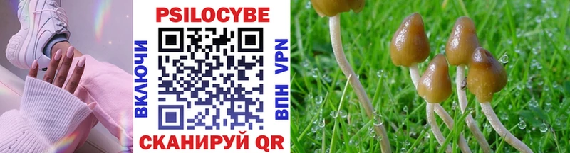 Купить где  Сунжа  Псилоцибиновые грибы мухоморы 