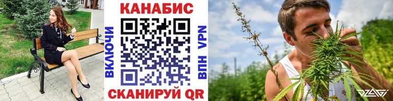 Купить закладки  Сунжа  Канабис сатива 